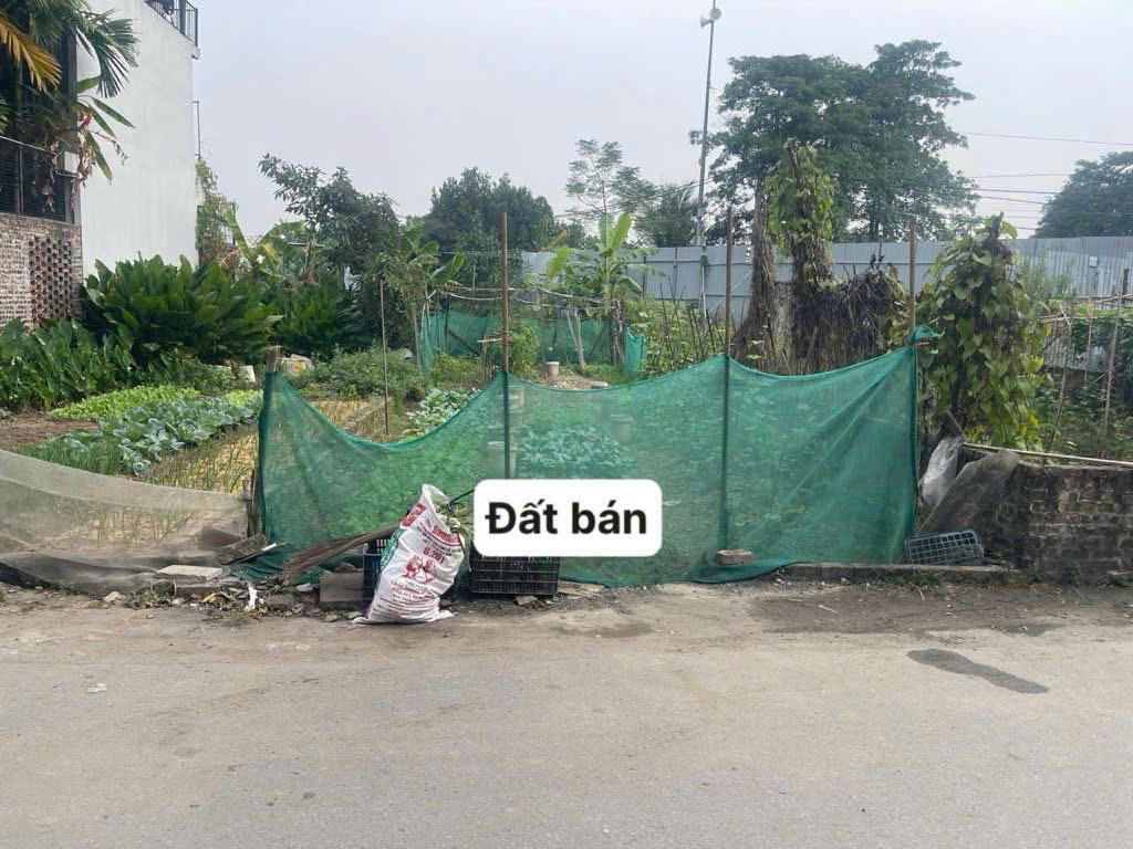 Đất đẹp phân lô trục chính ô tô tránh